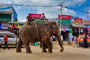 tumakuru_05